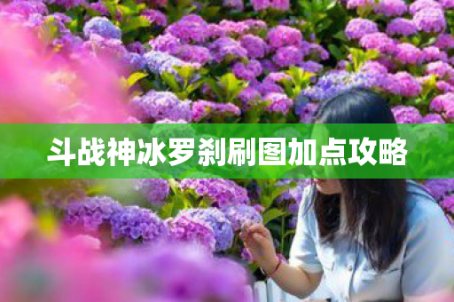 斗战神冰罗刹刷图加点攻略图片
