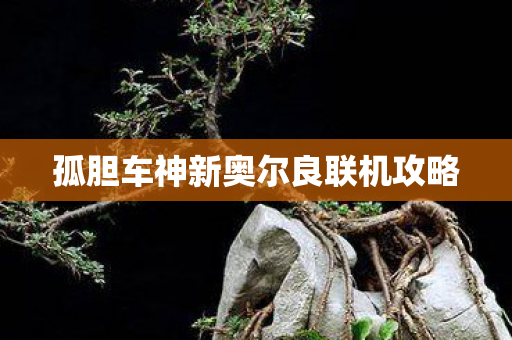 孤胆车神新奥尔良联机攻略图片