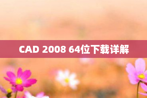 CAD 2008 64位下载详解图片