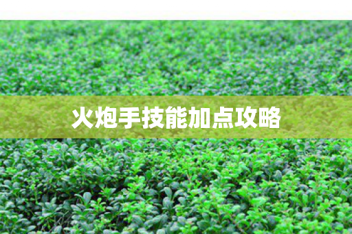 火炮手技能加点攻略图片