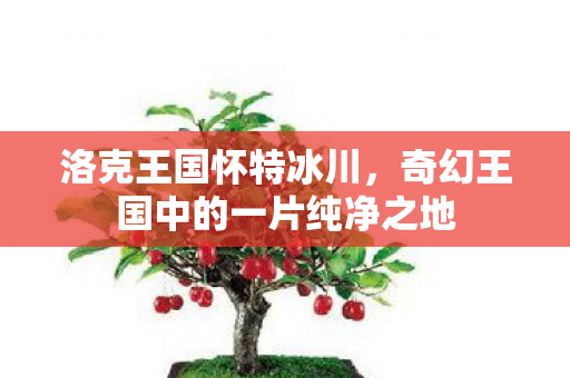奇幻王国中的一片纯净之地图片