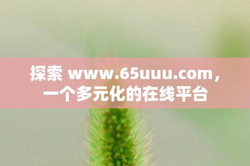 一个多元化的在线平台图片