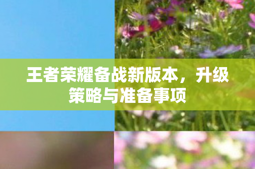 王者荣耀备战新版本图片