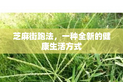 一种全新的健康生活方式图片