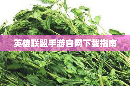 英雄联盟手游官网下载指南图片
