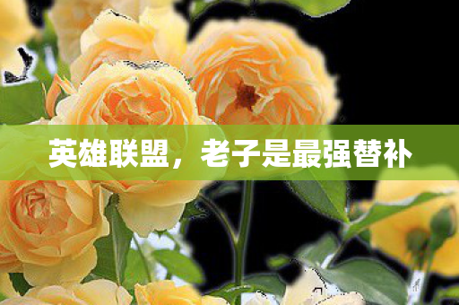 老子是最强替补图片