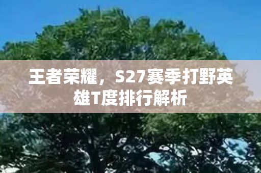 S27赛季打野英雄T度排行解析图片