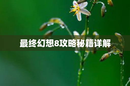 最终幻想8攻略秘籍详解图片