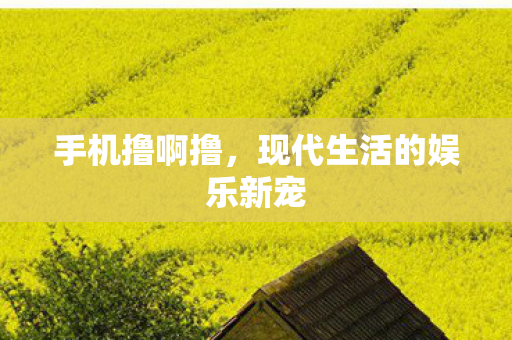 现代生活的娱乐新宠图片