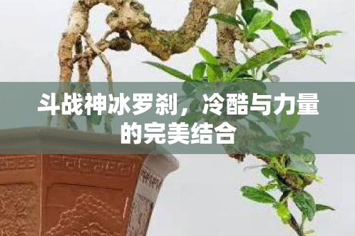 冷酷与力量的完美结合图片