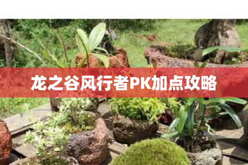 龙之谷风行者PK加点攻略图片