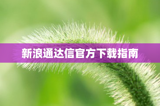 新浪通达信官方下载指南图片