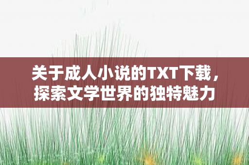 关于成人小说的TXT下载图片