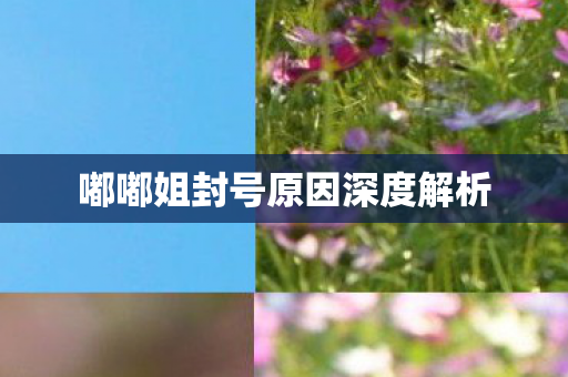嘟嘟姐封号原因深度解析图片
