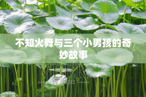 不知火舞与三个小男孩的奇妙故事图片