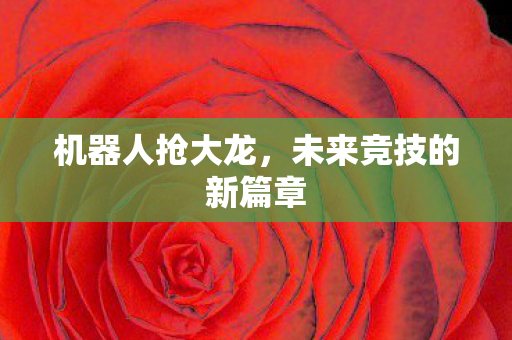 机器人抢大龙,未来竞技的新篇章 机器人抢大龙,未来竞技的新篇章