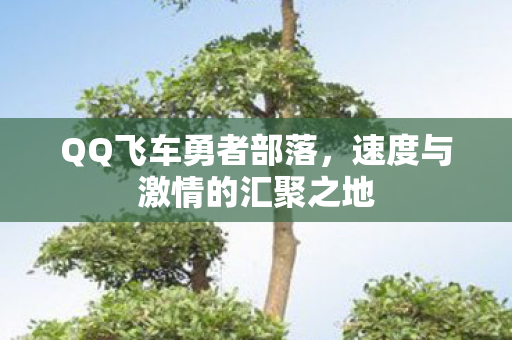 速度与激情的汇聚之地图片