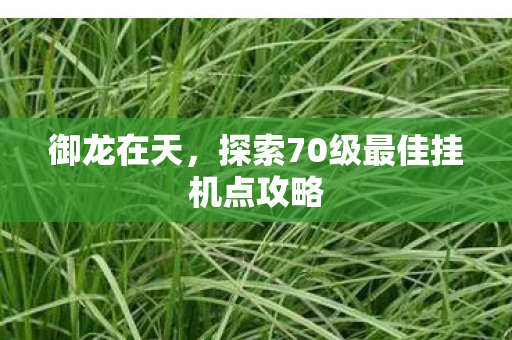 探索70级最佳挂机点攻略图片