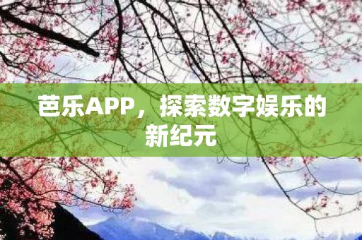 探索数字娱乐的新纪元图片