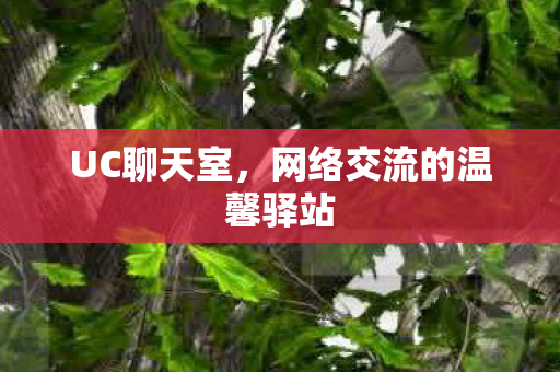 网络交流的温馨驿站图片