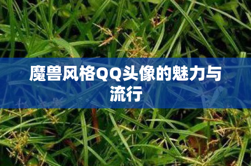 魔兽风格QQ头像的魅力与流行图片