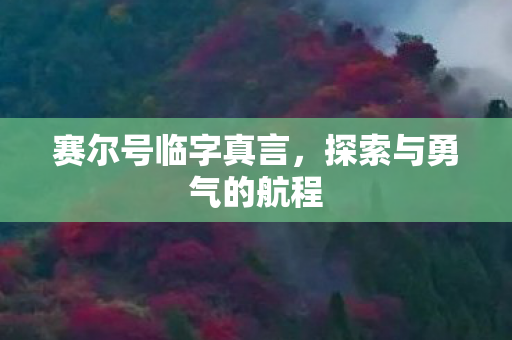 探索与勇气的航程图片