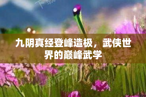 武侠世界的巅峰武学图片