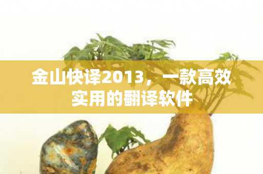 一款高效实用的翻译软件图片