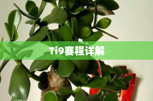 Ti9赛程详解图片