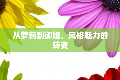 风格魅力的转变图片