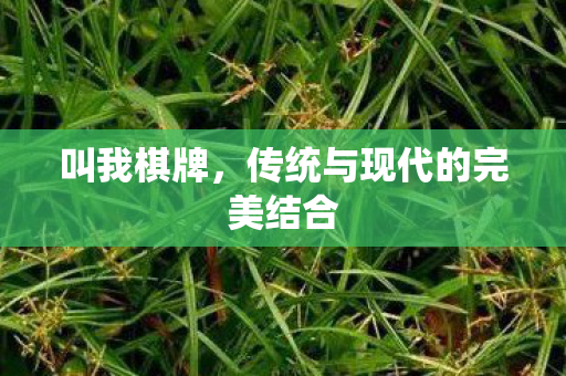 传统与现代的完美结合图片