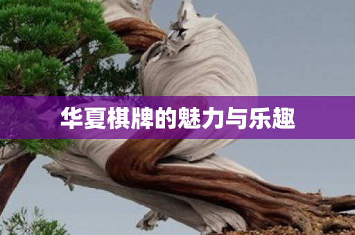 华夏棋牌的魅力与乐趣图片