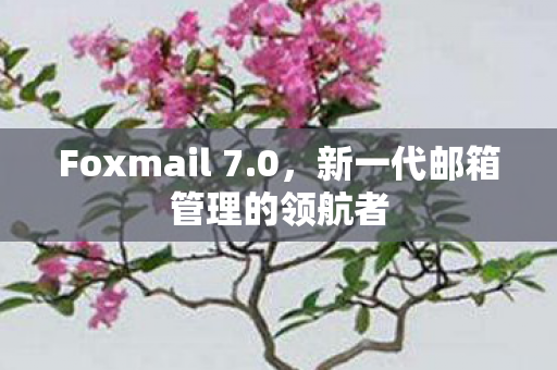 新一代邮箱管理的领航者图片