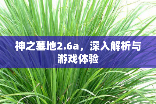 深入解析与游戏体验图片