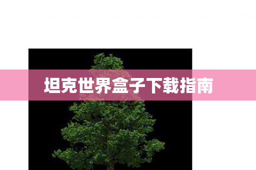 坦克世界盒子下载指南图片