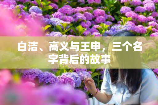 三个名字背后的故事图片