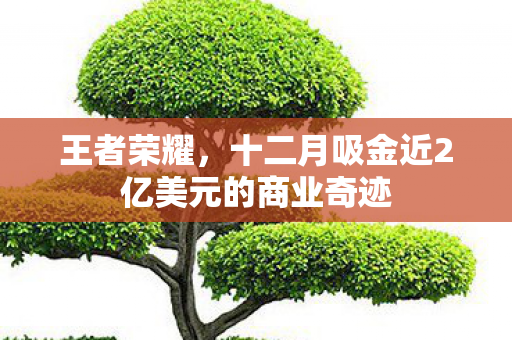 十二月吸金近2亿美元的商业奇迹图片