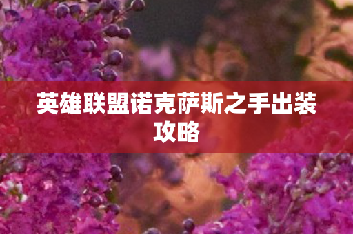 英雄联盟诺克萨斯之手出装攻略图片