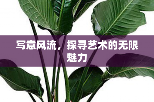 探寻艺术的无限魅力图片