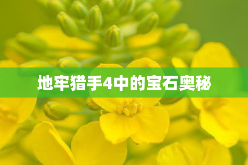 地牢猎手4中的宝石奥秘图片