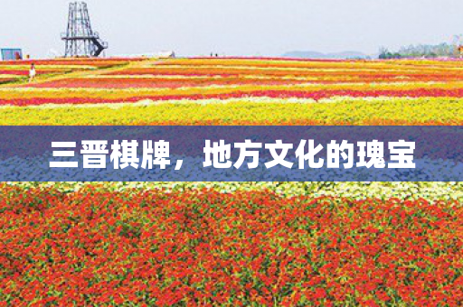 地方文化的瑰宝图片