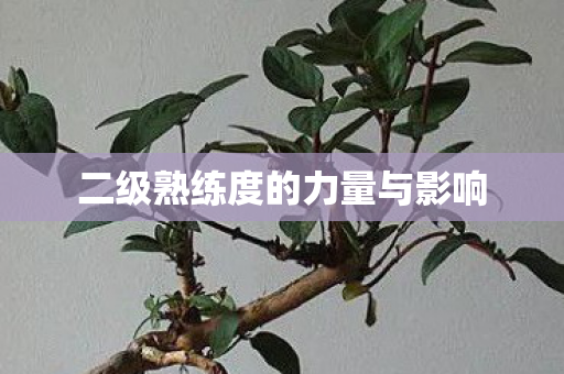 二级熟练度的力量与影响图片