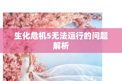 生化危机5无法运行的问题解析图片