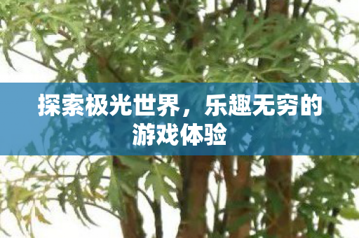 乐趣无穷的游戏体验图片