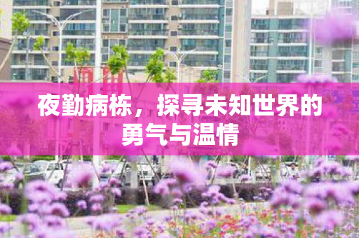 探寻未知世界的勇气与温情图片