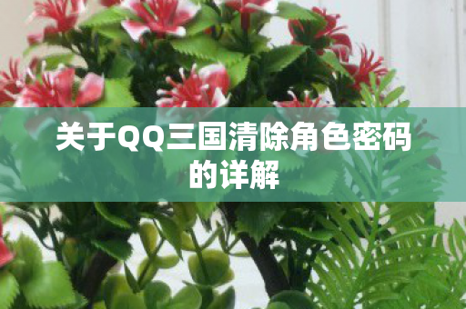 关于QQ三国清除角色密码的详解图片