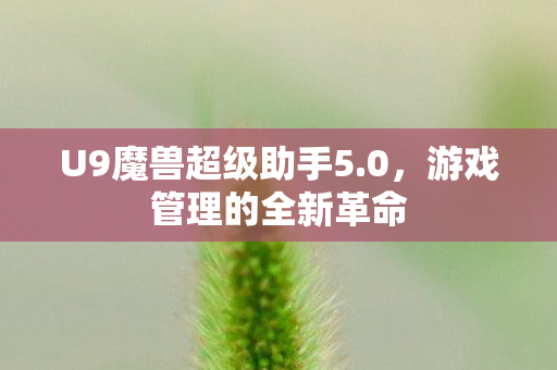 U9魔兽超级助手5图片
