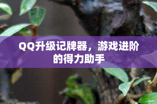 游戏进阶的得力助手图片