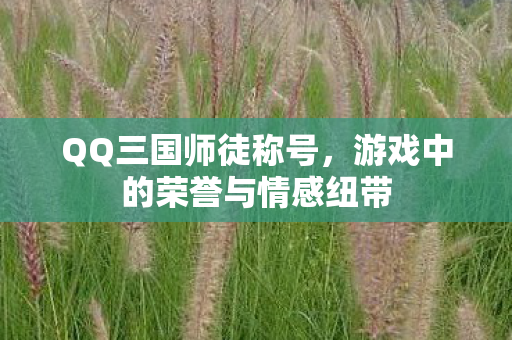 游戏中的荣誉与情感纽带图片