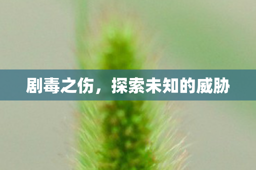 探索未知的威胁图片